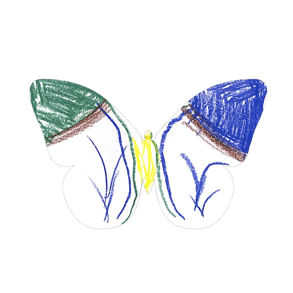 Original Butterfly Image