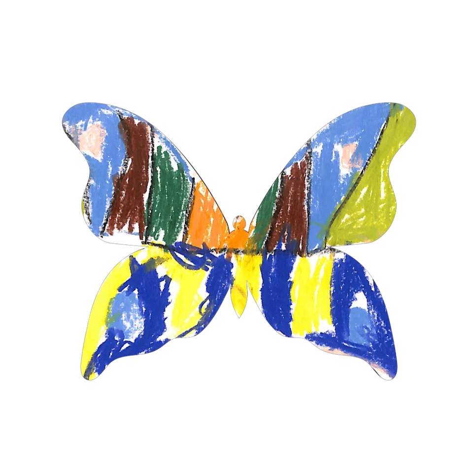 Original Butterfly Image
