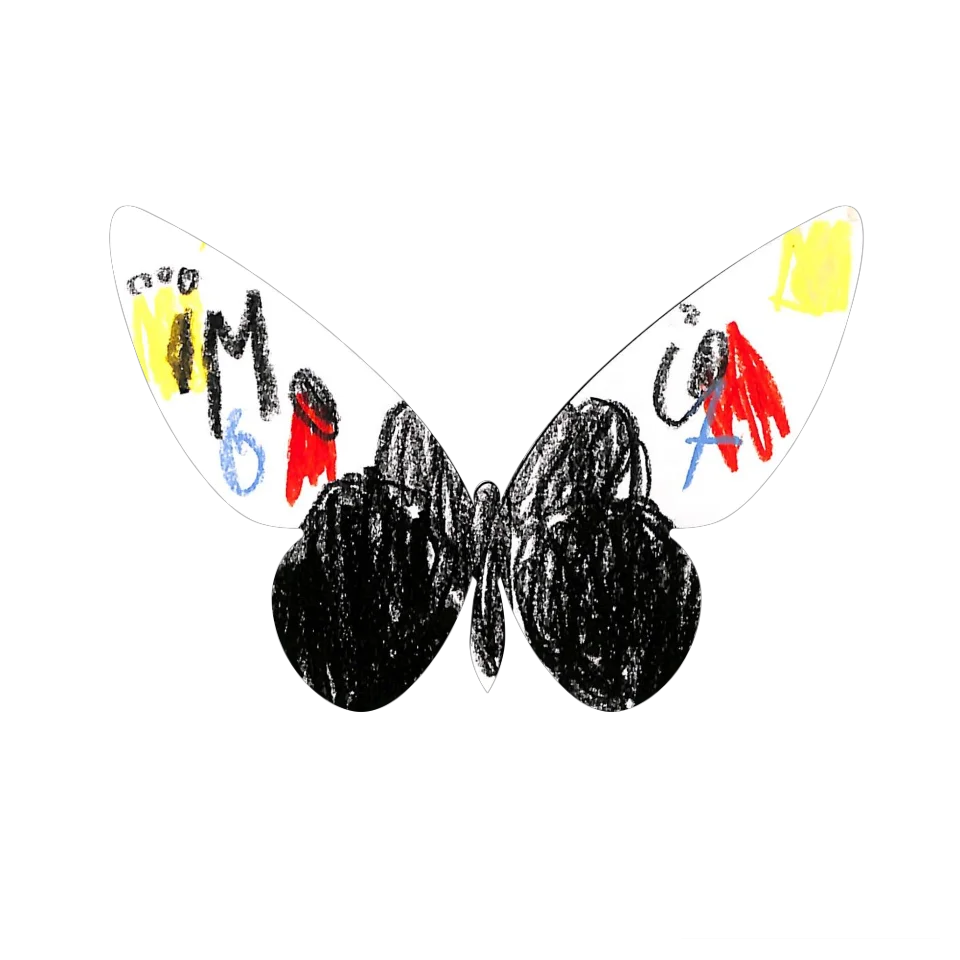 Original Butterfly Image