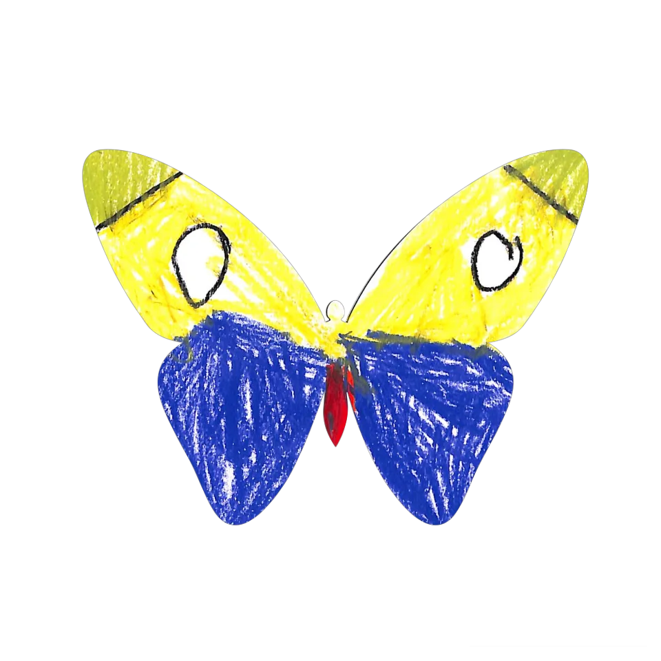 Original Butterfly Image