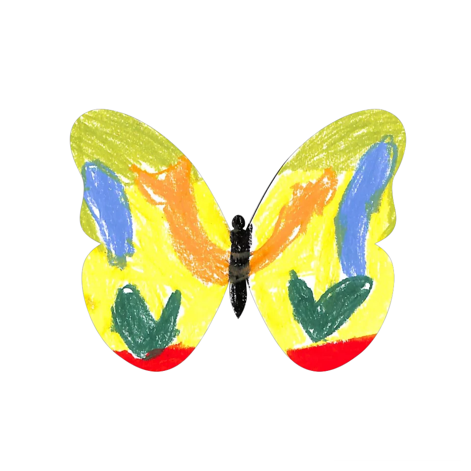Original Butterfly Image