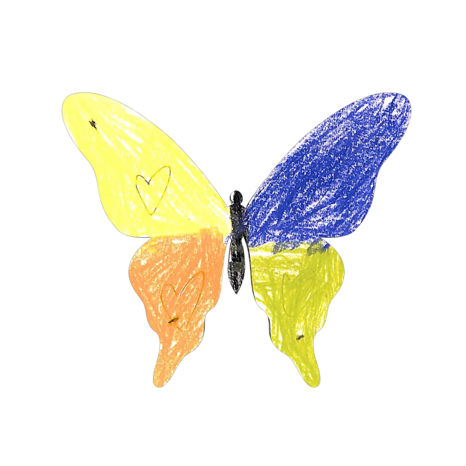 Original Butterfly Image