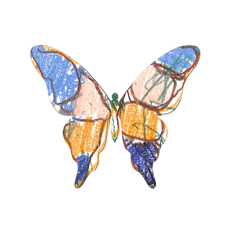 Original Butterfly Image