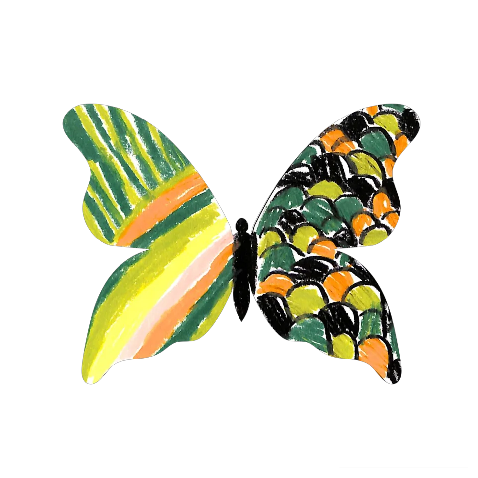 Original Butterfly Image