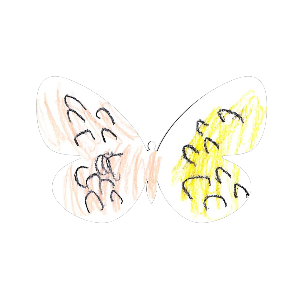 Original Butterfly Image