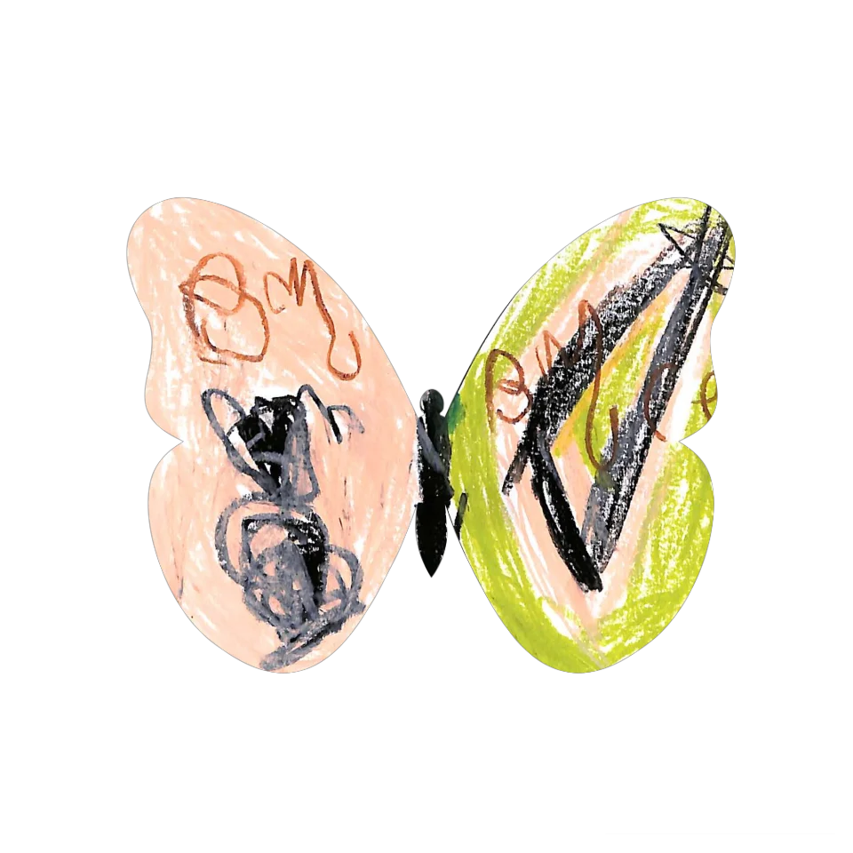 Original Butterfly Image