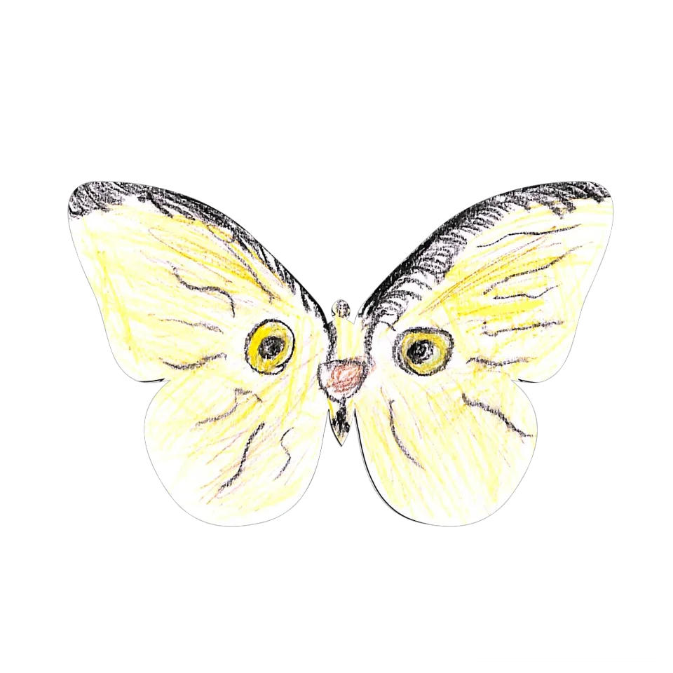 Original Butterfly Image