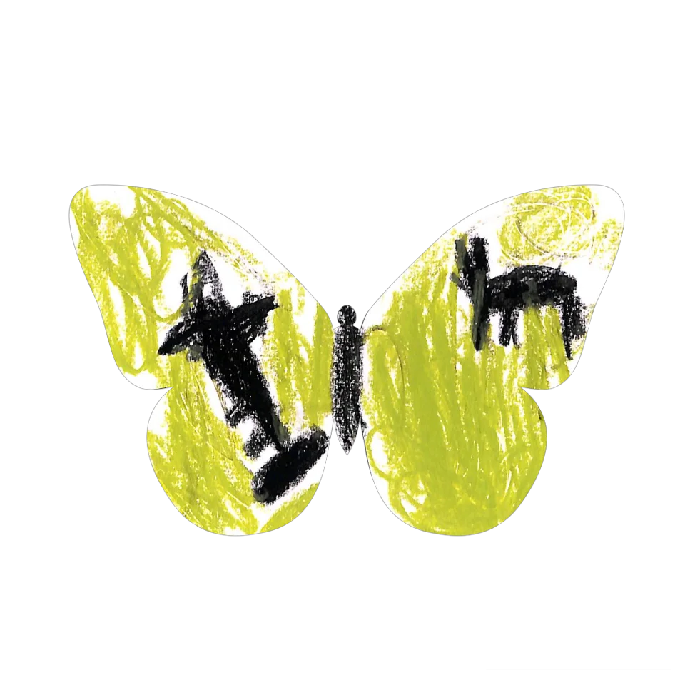 Original Butterfly Image