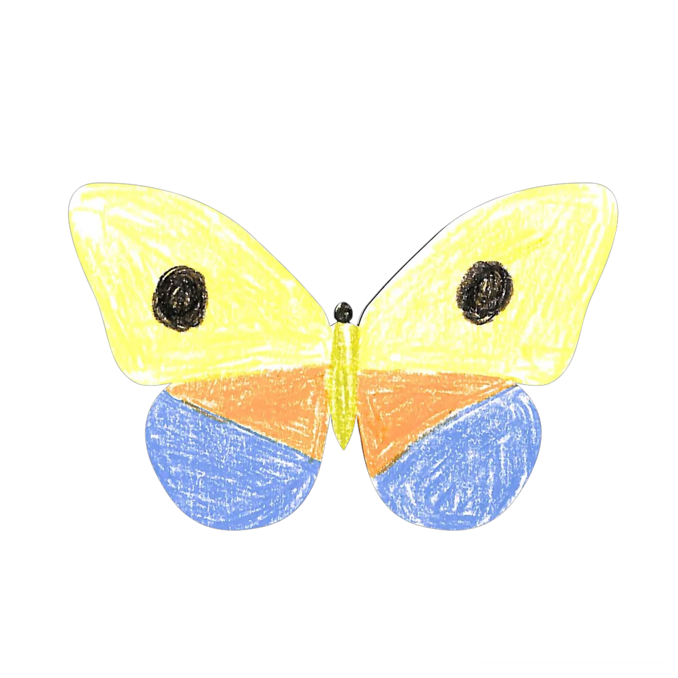 Original Butterfly Image