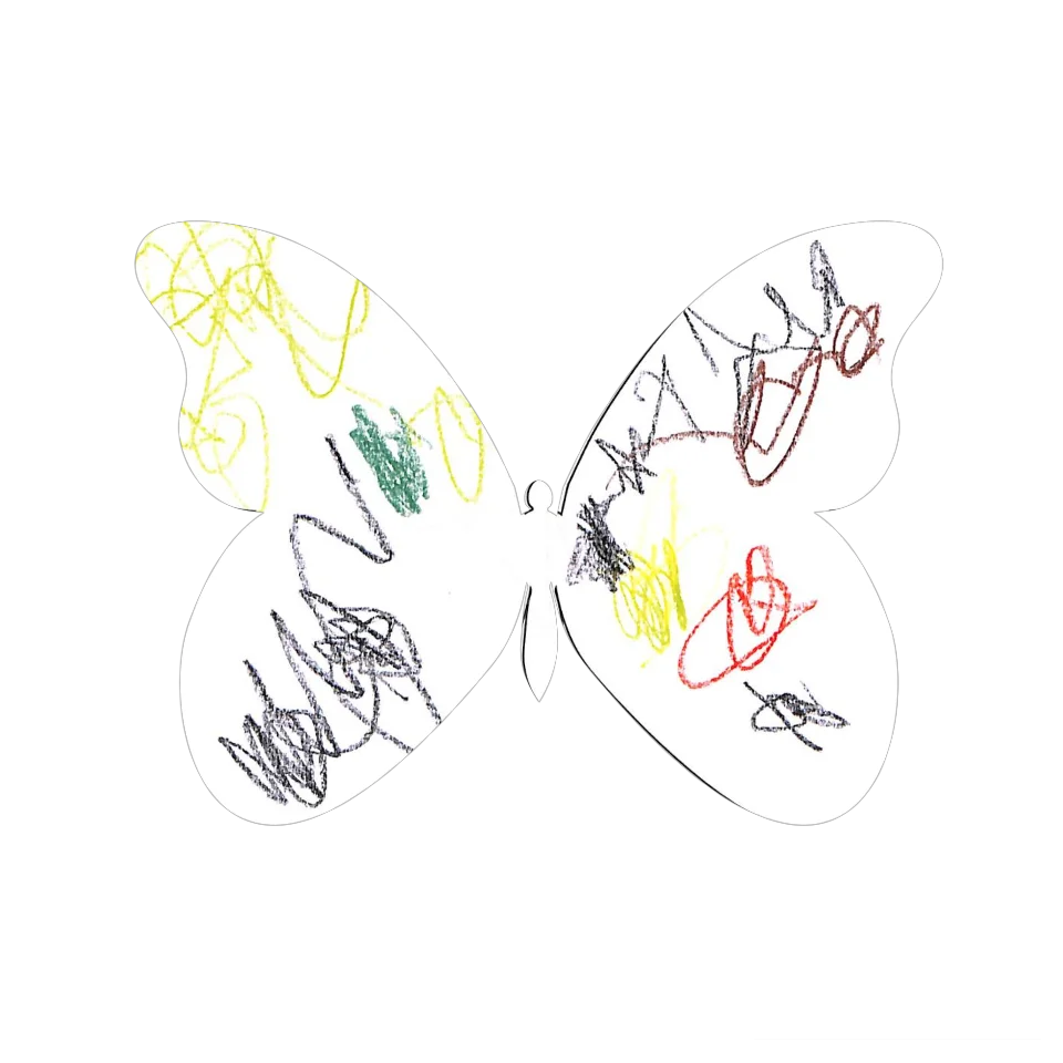 Original Butterfly Image