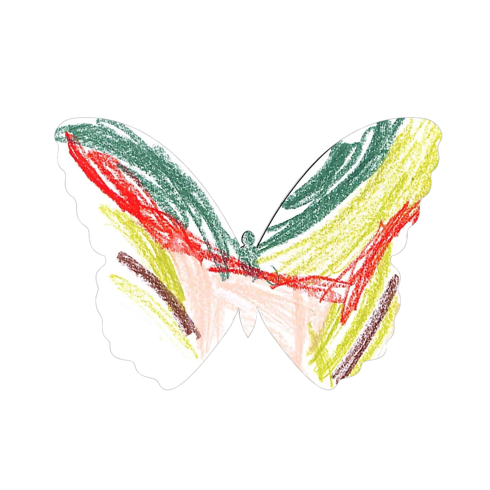 Original Butterfly Image