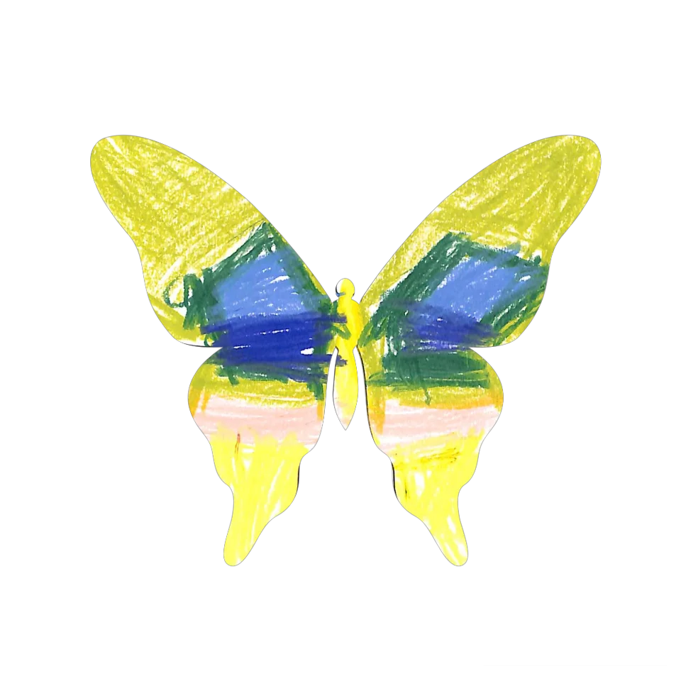 Original Butterfly Image
