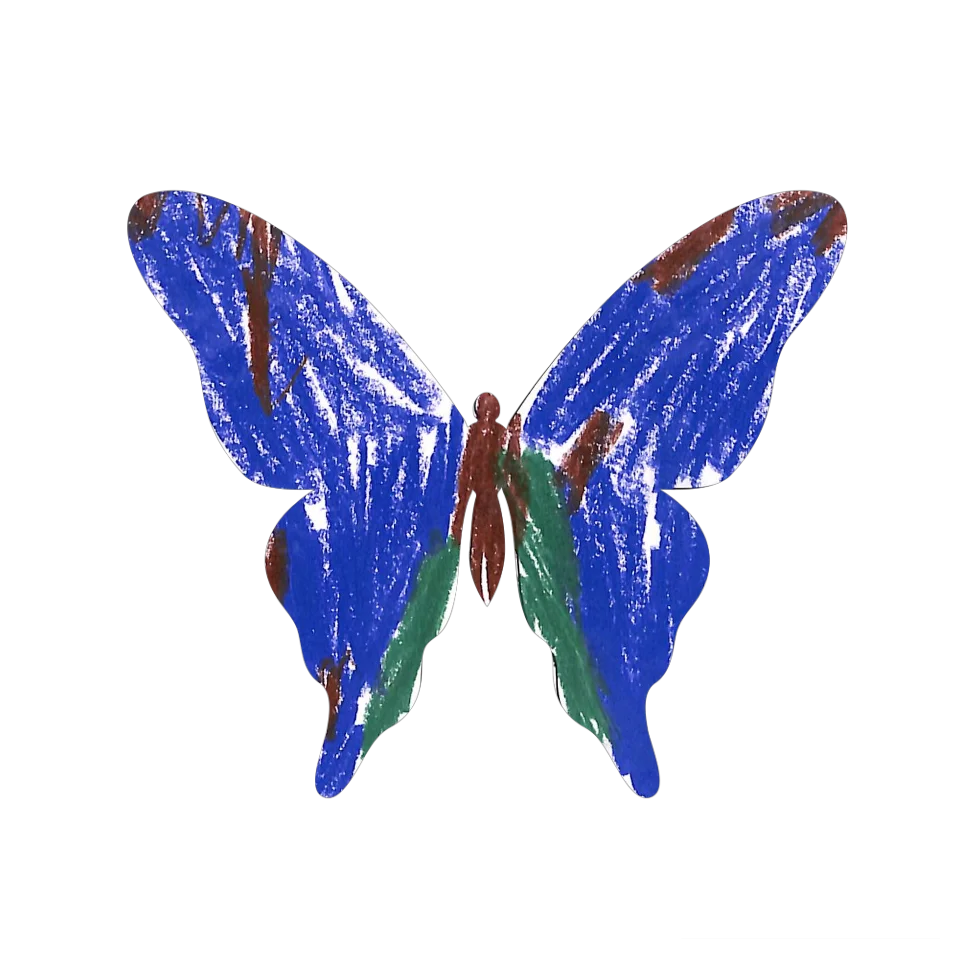 Original Butterfly Image