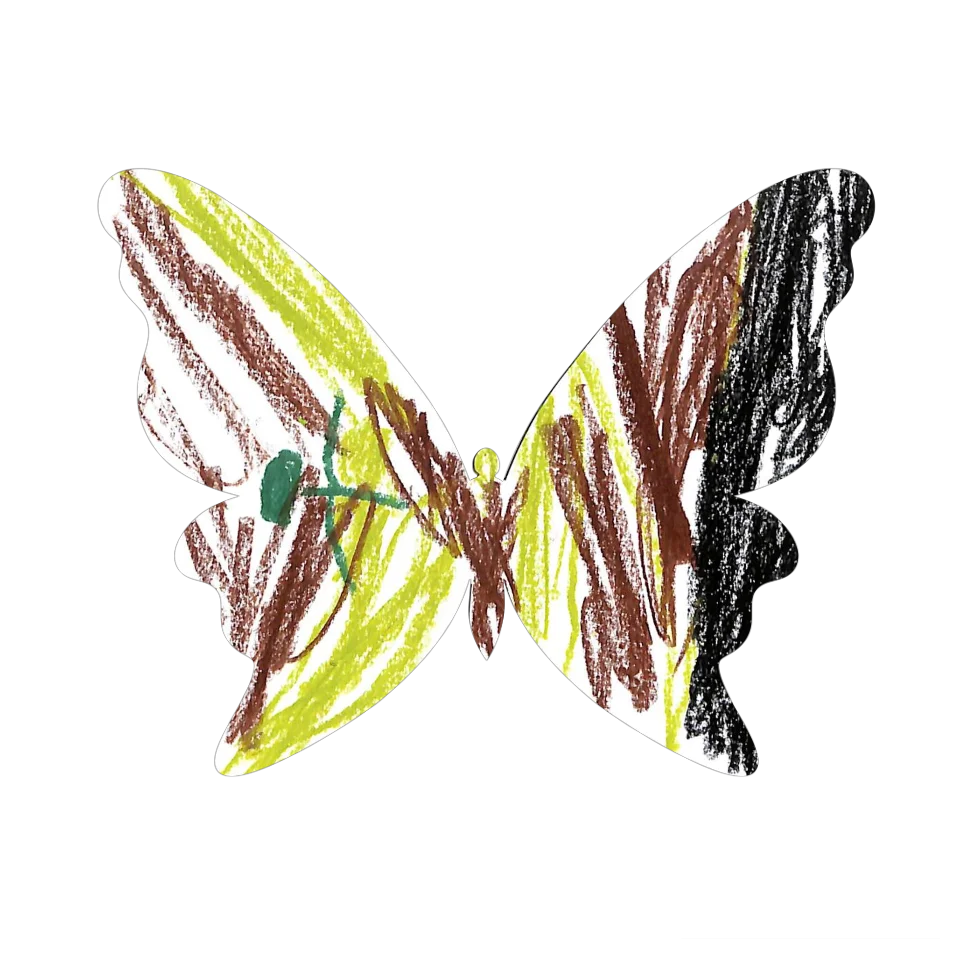 Original Butterfly Image