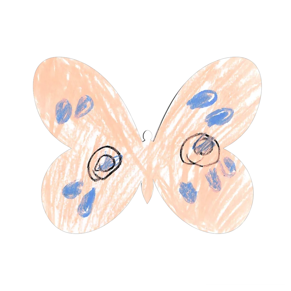 Original Butterfly Image