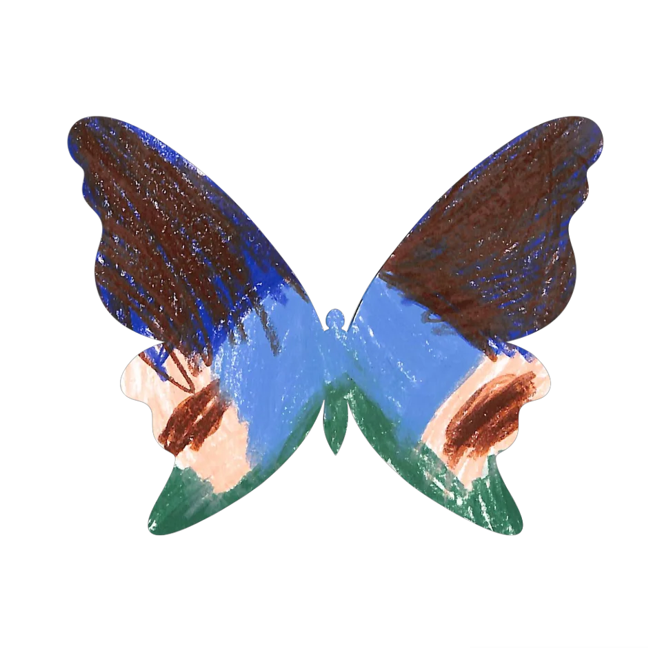 Original Butterfly Image