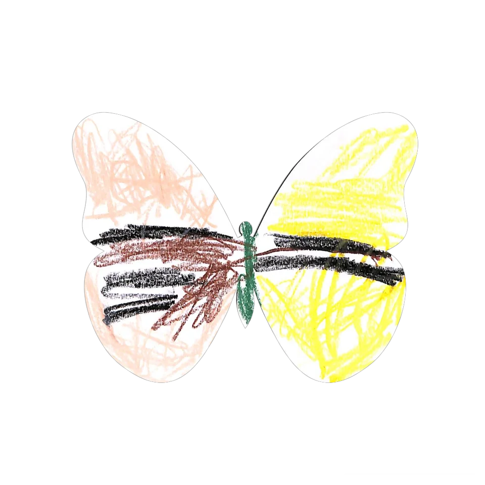 Original Butterfly Image