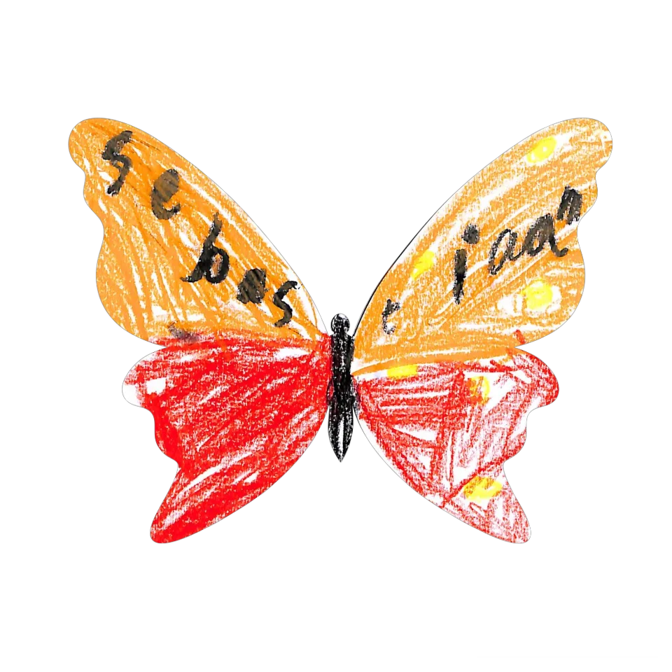 Original Butterfly Image