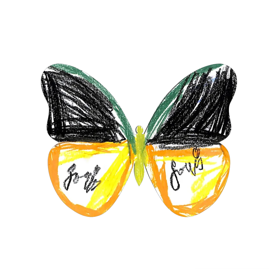 Original Butterfly Image