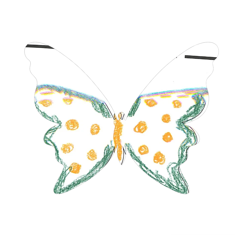 Original Butterfly Image