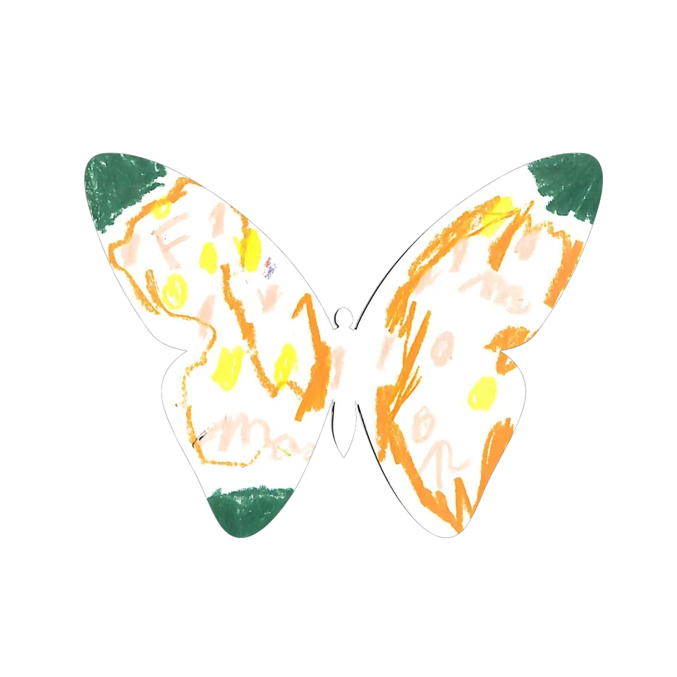 Original Butterfly Image
