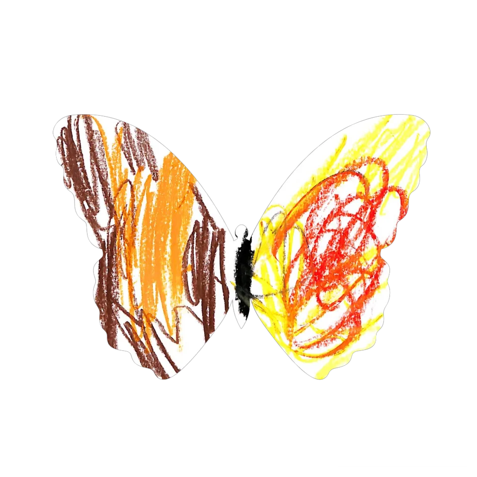 Original Butterfly Image