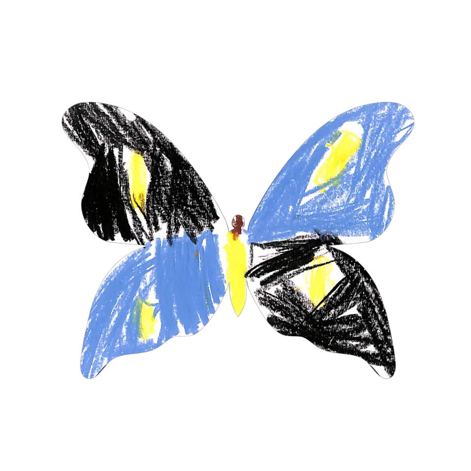 Original Butterfly Image