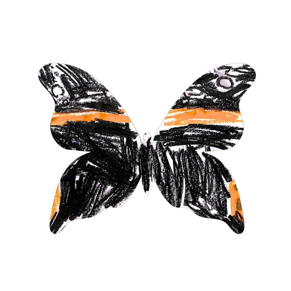 Original Butterfly Image