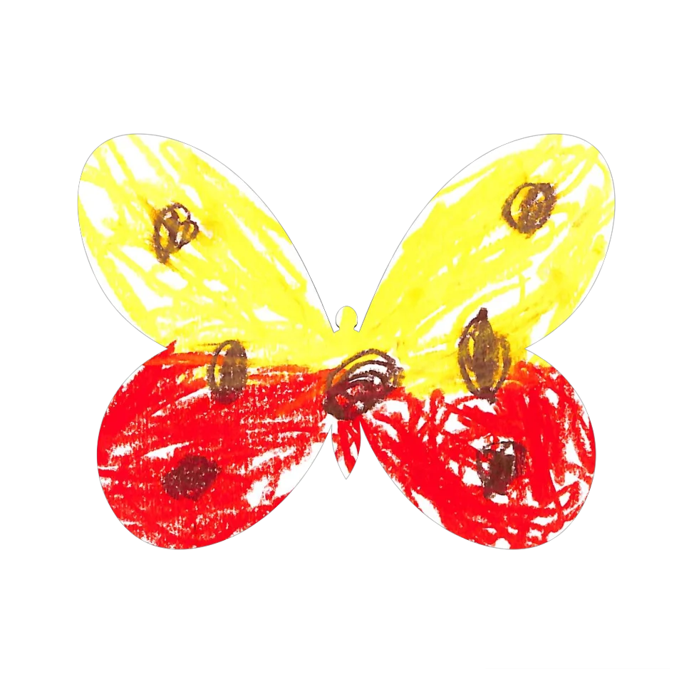 Original Butterfly Image