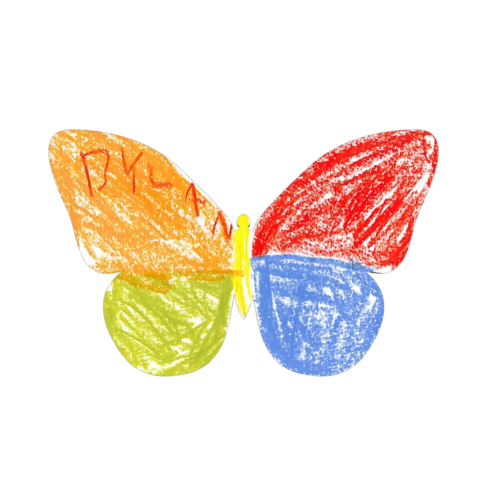 Original Butterfly Image