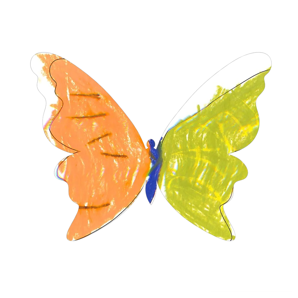 Original Butterfly Image