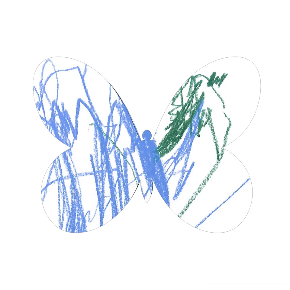 Original Butterfly Image