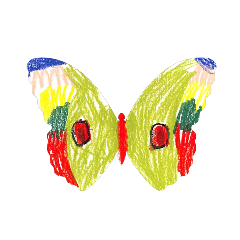 Original Butterfly Image