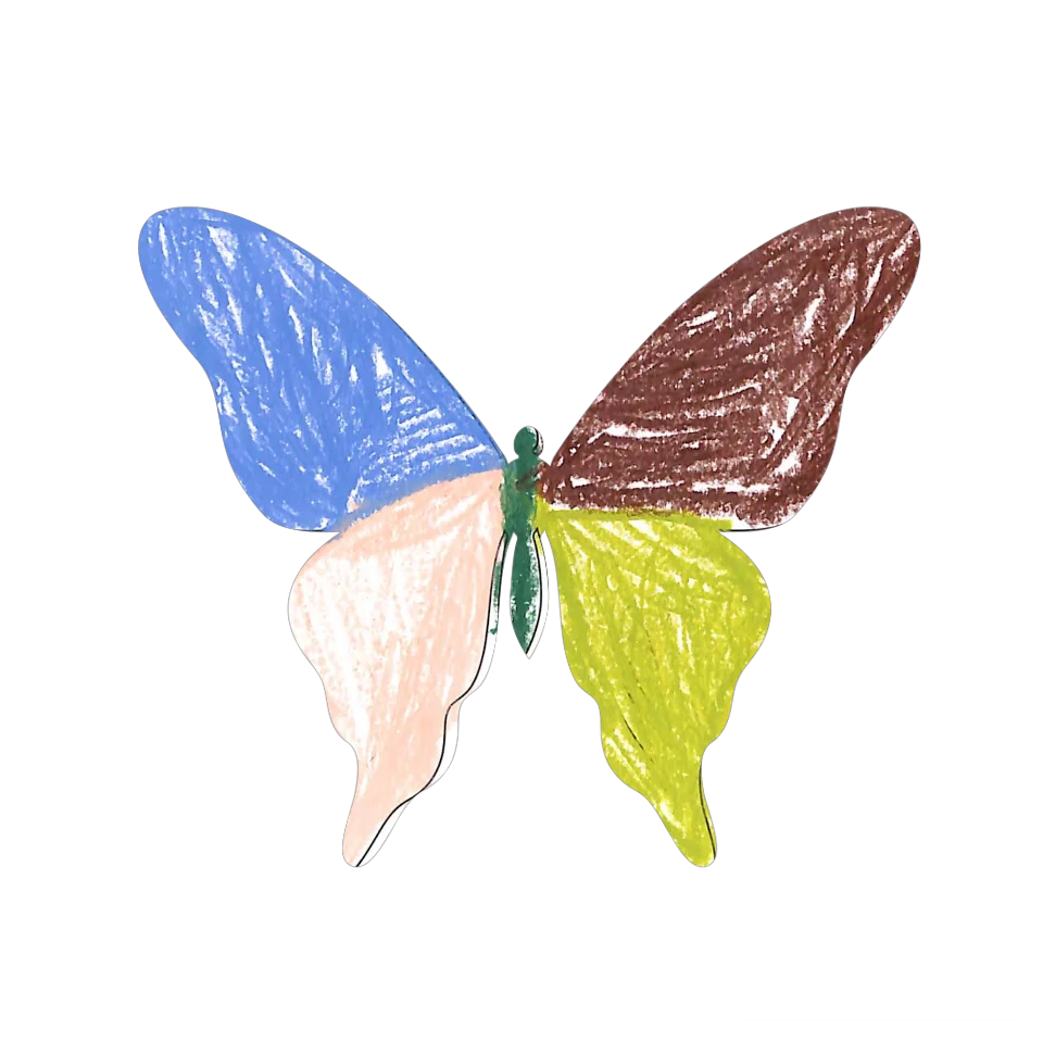 Original Butterfly Image