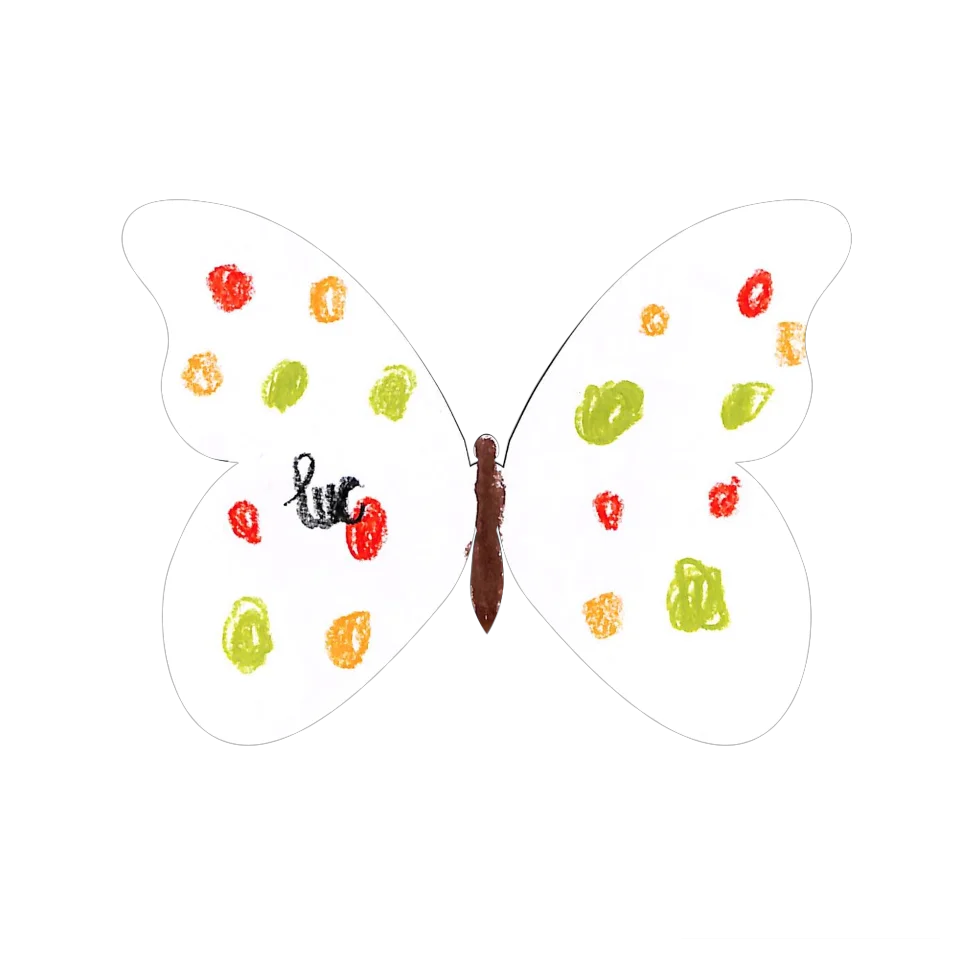 Original Butterfly Image