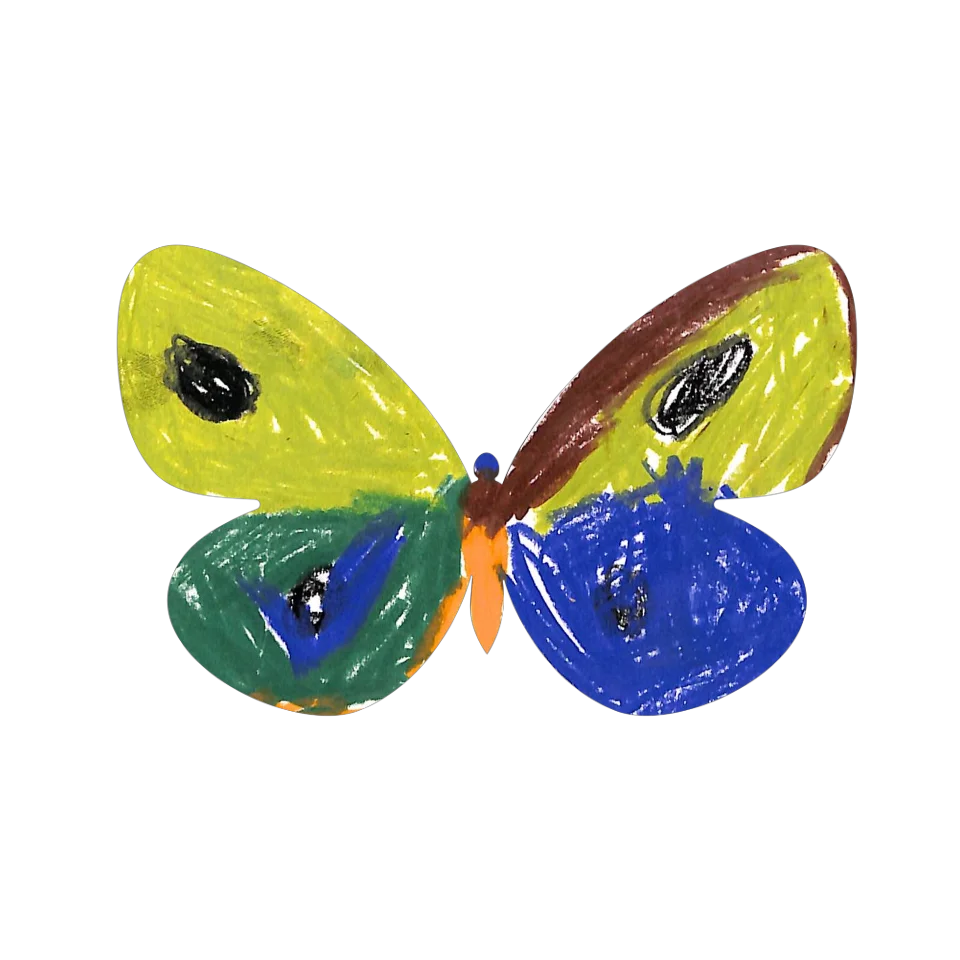 Original Butterfly Image