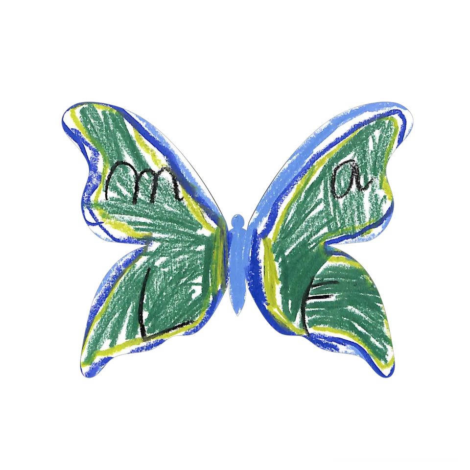 Original Butterfly Image