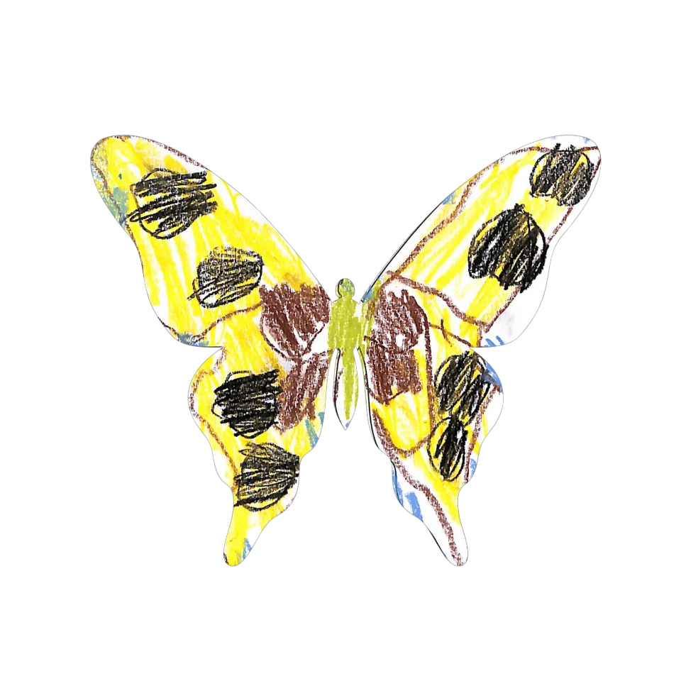 Original Butterfly Image