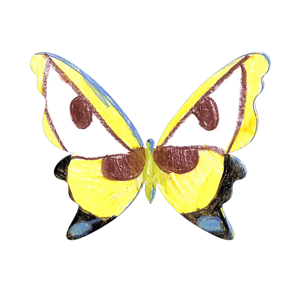 Original Butterfly Image