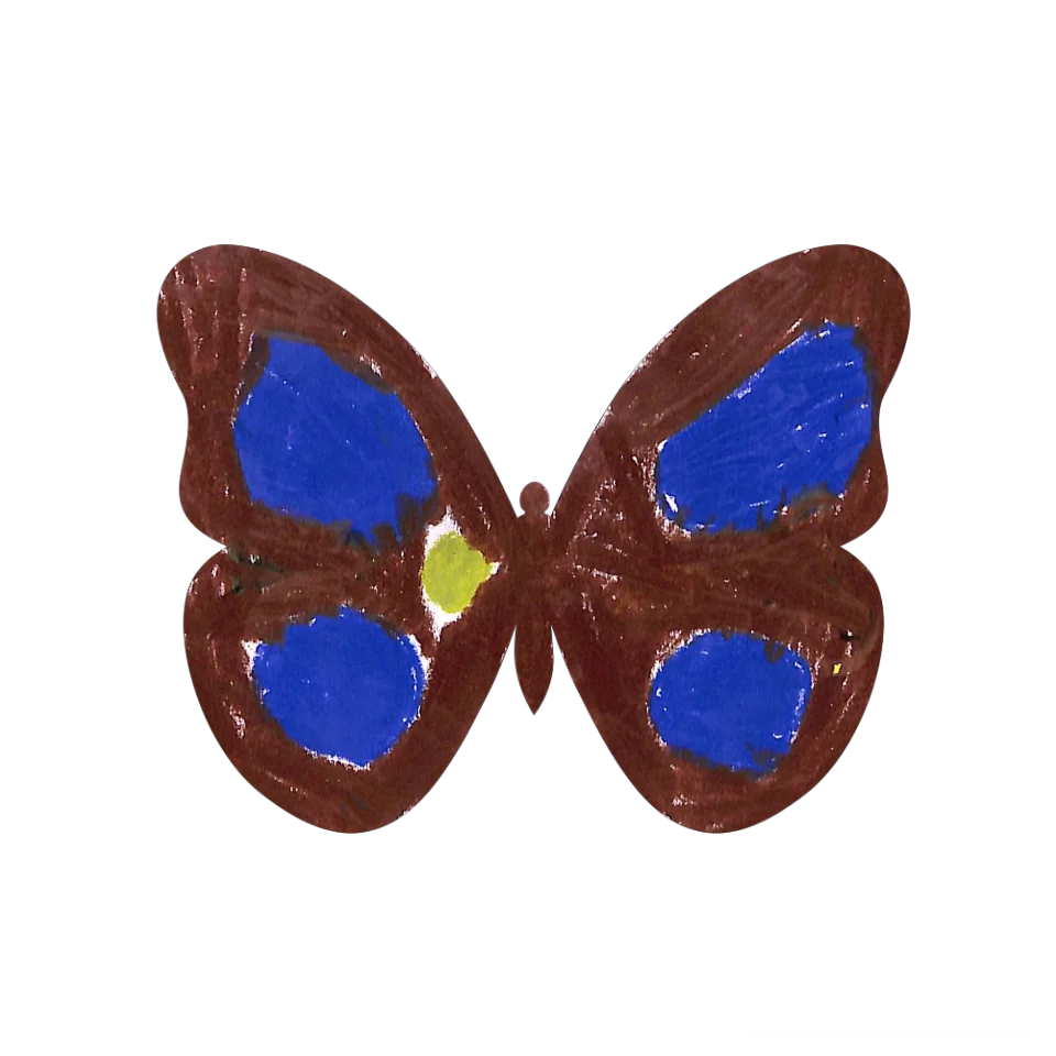 Original Butterfly Image