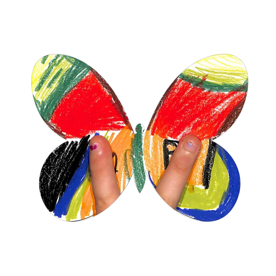 Original Butterfly Image