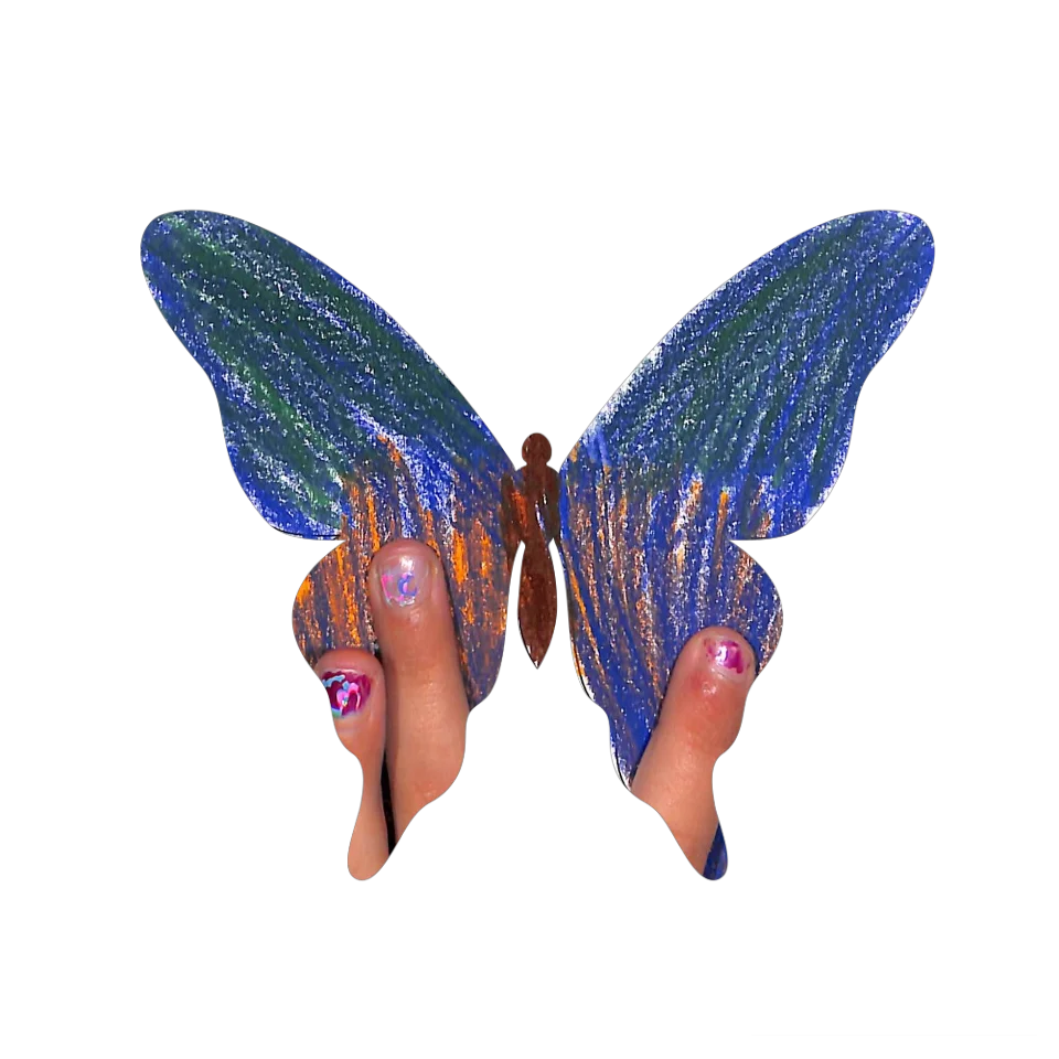 Original Butterfly Image