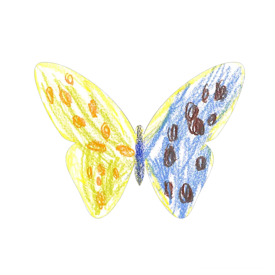 Original Butterfly Image