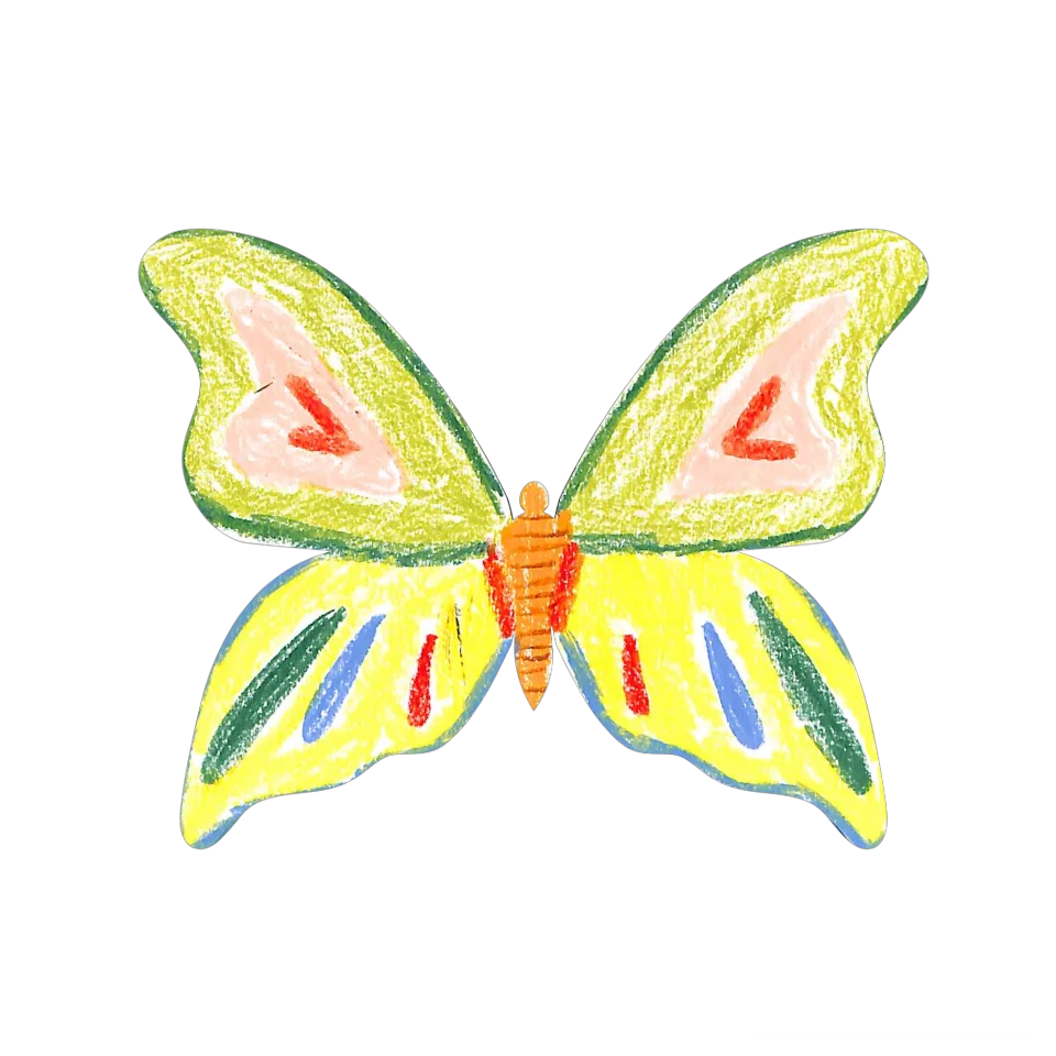 Original Butterfly Image