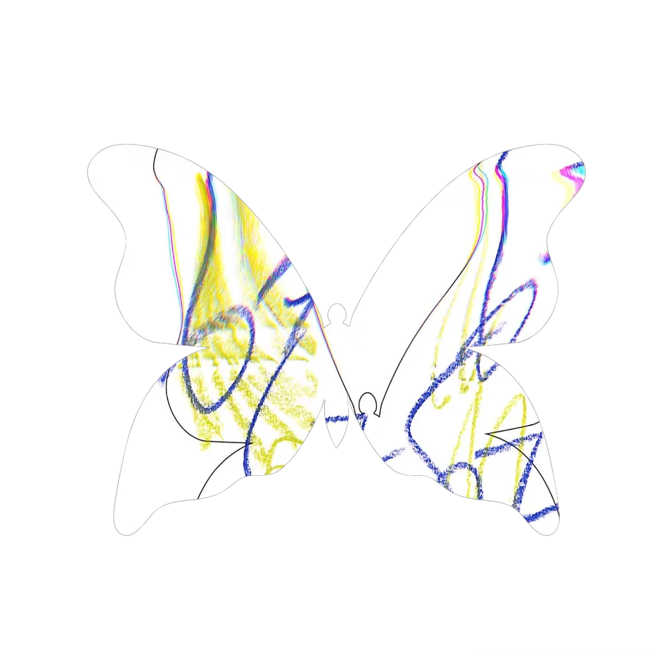 Original Butterfly Image