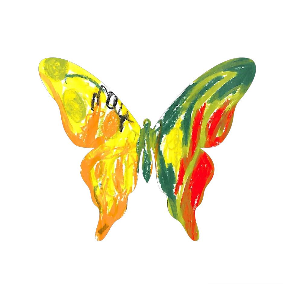 Original Butterfly Image
