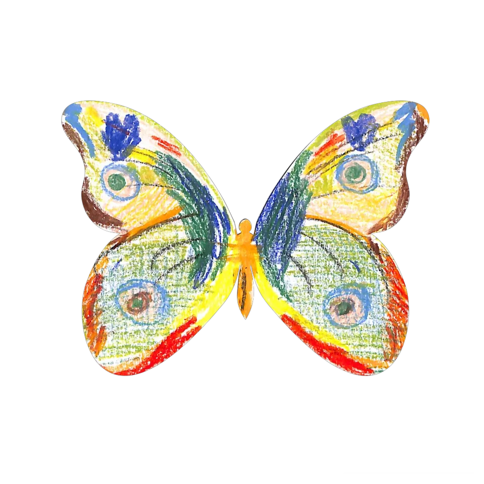 Original Butterfly Image