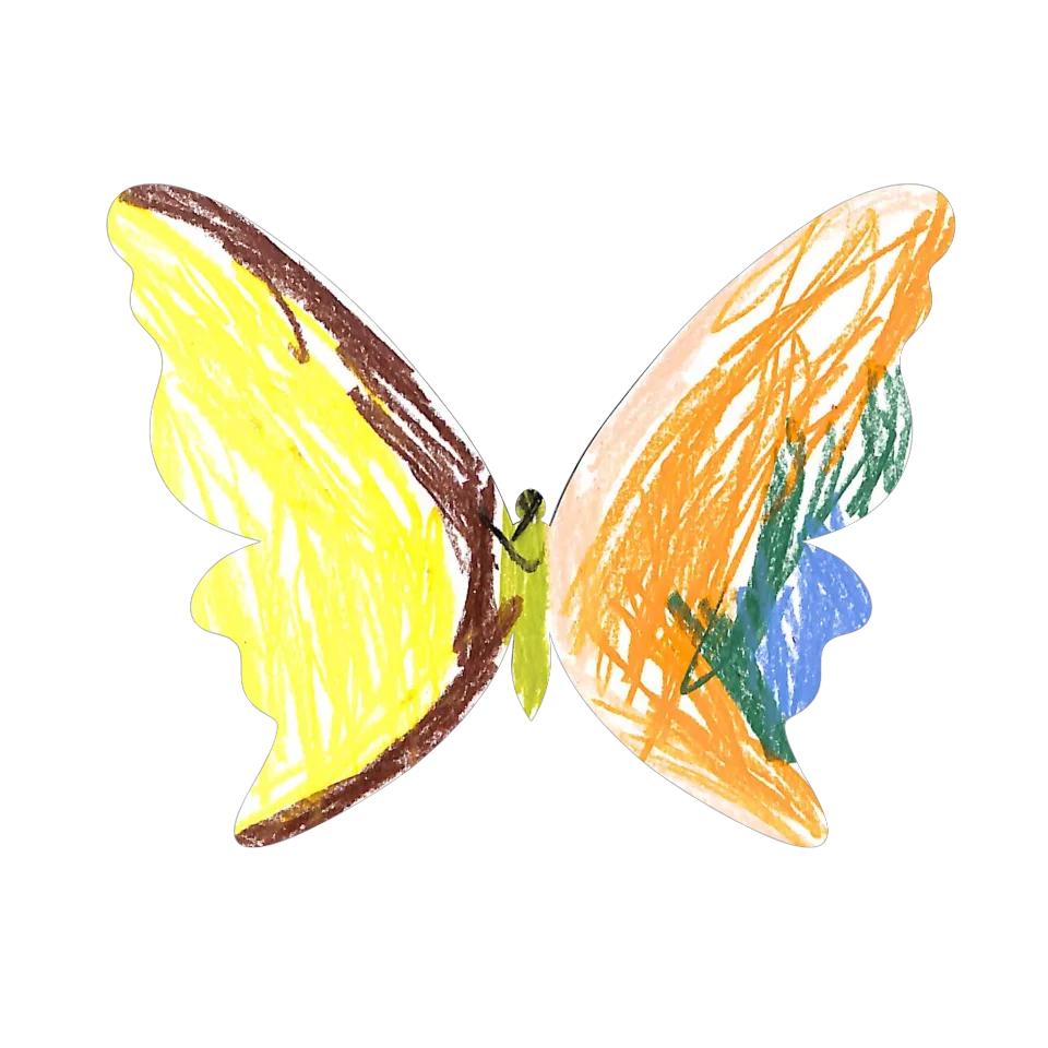 Original Butterfly Image