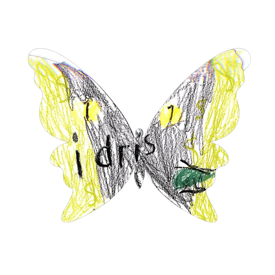Original Butterfly Image