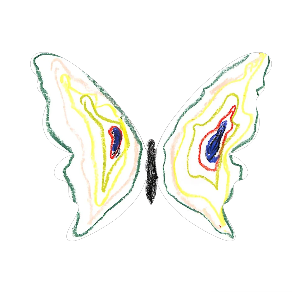 Original Butterfly Image
